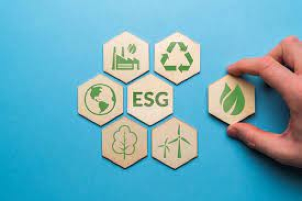 ESG: o que é a sigla que virou sinônimo de sustentabilidade