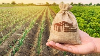 Brasil conquista 51 novos mercados para o agro em 2023