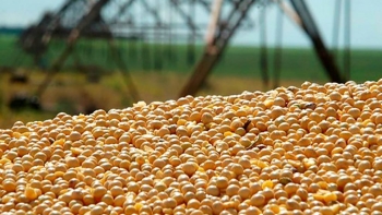 Brasil e Bolívia debatem acordo de investimentos no agronegócio; veja detalhes